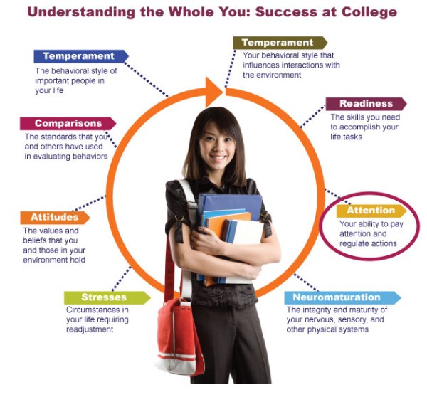 Attention in College Students | The Being Well Center